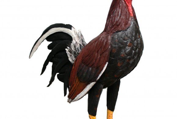 Gallo, de Angel L. Torres