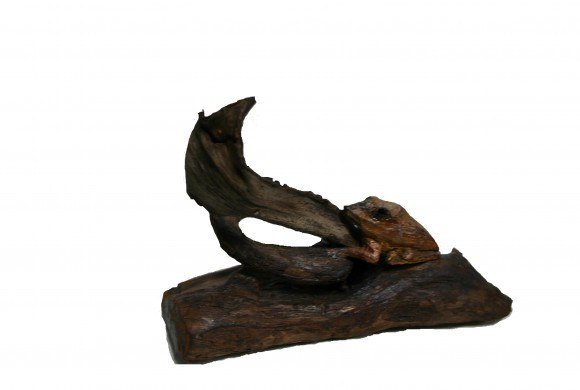 Coquí, de Angel L. Torres