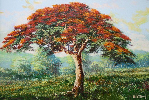 Flamboyán al Atardecer, de Wichie Torres